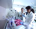 FTIR - Espectroscopia de Infrarrojo por Transformada de Fourier