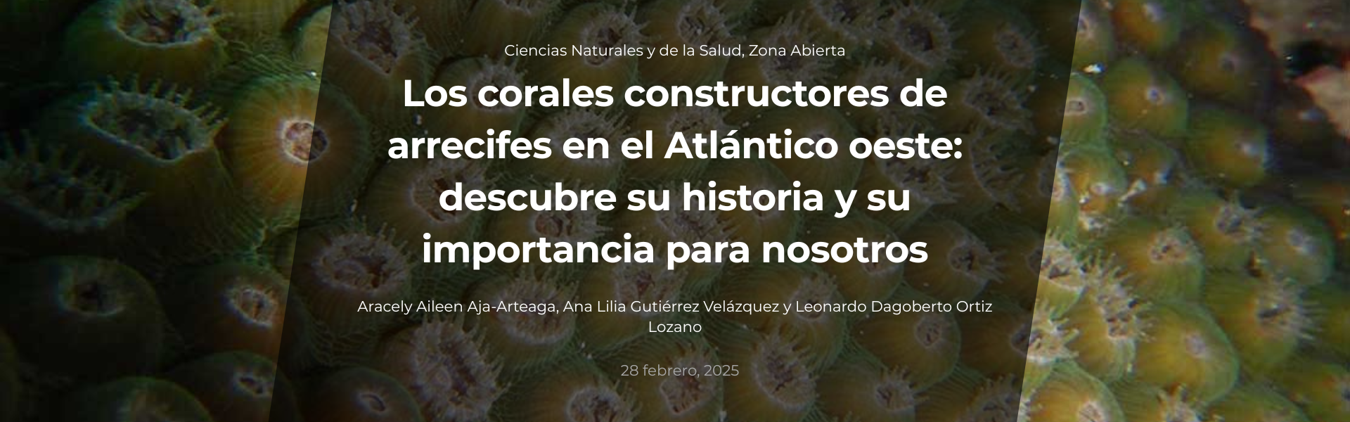 Los corales contructores de arrecifes en el Atlántico oeste