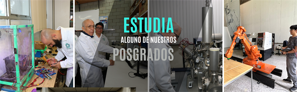 Banner-IE