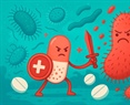 Antibióticos y resistencias bacterianas: mecanismos de acción, estrategias de resistencia y la importancia de Una Salud