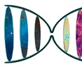El  origen del Universo