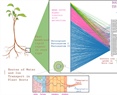 Dissecting the role of bHLH transcription factors in the potato spindle tuber viroid (PSTVd)-tomato pathosystem using network approaches