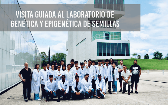 Visita guiada al Laboratorio de Genética y Epigenética de Semillas