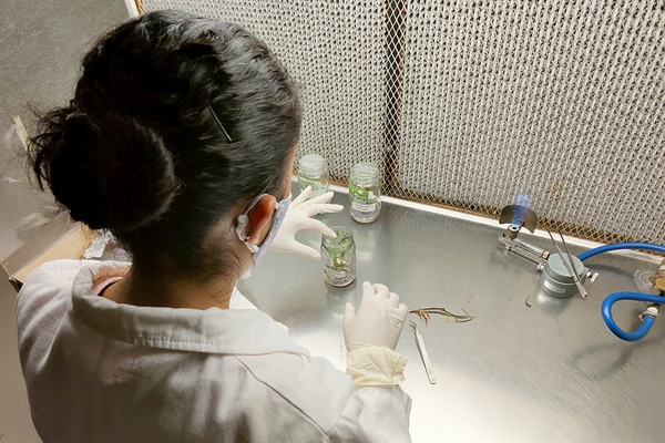 El Cinvestav en las rejas - CBS