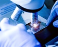 Microscopía