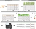 An optimized disease resistance gene cloning workflow for wheat