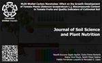 Multi-Walled Carbon Nanotubes: Effect on the Growth-Development of Tomato Plants (Solanum lycopersicum L.), Biocompounds Content in Tomato Fruits and Quality Indicators of Cultivated Soil
