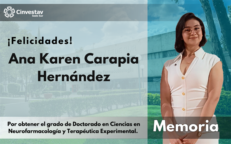 Examen de grado (Doctorado)