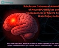 Dra. Luisa Rocha - Subchronic Intranasal Administration of NeuroEPO Reduces Long-Term Consequences of Severe Traumatic Brain Injury in Male Rats