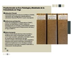 Posdoctorado | Eco-Fisiología y Modelado de la Fotosíntesis en Trigo.