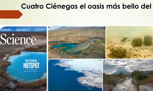 Microbios revelan el declive de un ecosistema único de Cuatro Ciénegas...