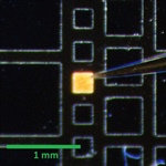 Luciérnagas artificiales: generando luz a través de nanocristales de silicio