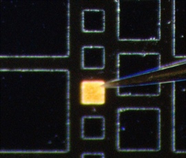 Luciérnagas artificiales: generando luz a través de nanocristales de...