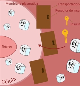 El cerebro dulce en la enfermedad de Alzheimer