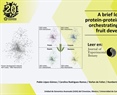 A brief look into protein-protein interactions orchestrating flower and fruit development