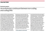 An evolutionary continuum between non-coding and coding DNA