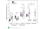 ARABIDOPSIS HOMOLOG OF TRITHORAX1 impacts lateral root development by epigenetic regulation of targets involved in root system architecture
