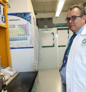 Analizan impacto de nanopartículas de hierro en cultivos de maíz