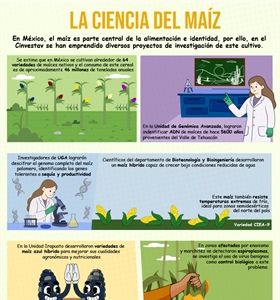 La ciencia del maíz