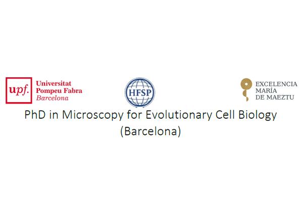 PhD in Microscopy for Evolutionary Cell Biology (Barcelona)