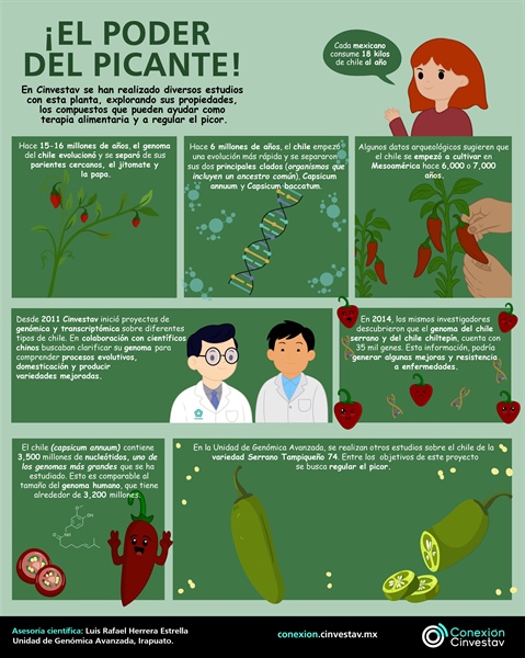 El poder del picante