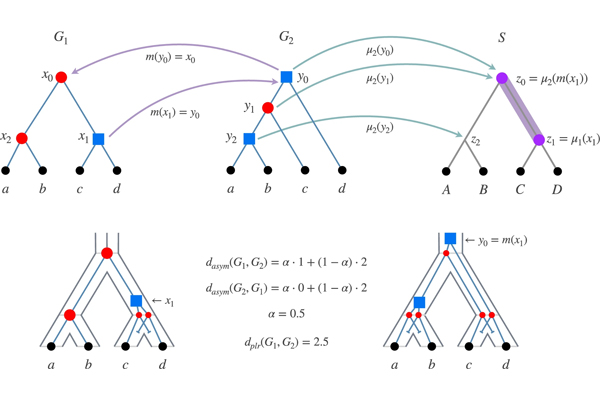The path-label reconciliation (PLR) dissimilarity measure for gene trees