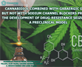 Cannabidiol combined with GABAergic drugs but not with sodium channel blockers prevents the development of drug-resistance seizures in a preclinical model