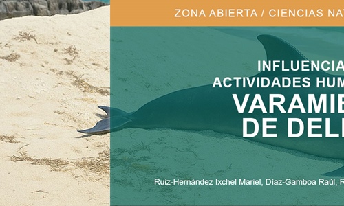 Influencia las actividades humanas en los varamientos de delfines