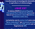 Día Mundial del CRISPR