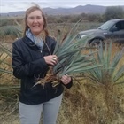 Simposio Internacional de Agave (ISA) dentro de la temática "Ciencia y Tecnología de bebidas de Agave"