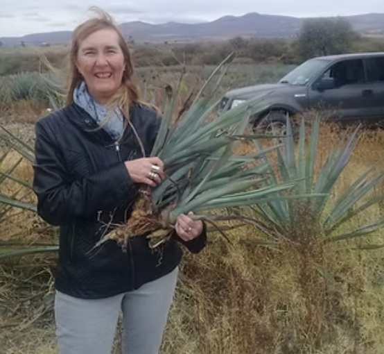 Simposio Internacional de Agave (ISA) dentro de la temática "Ciencia y Tecnología de bebidas de Agave"