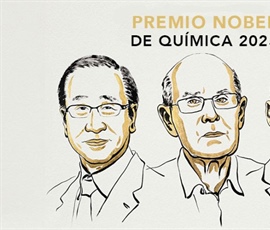 El Premio Nobel de Química 2025: el arte de la arquitectura molecular