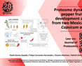 Proteome dynamics of chilli pepper fruits during development and ripening from two Mexican cultivars of Capsicum annuum L