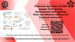 Proteome dynamics of chilli pepper fruits during development and ripening from two Mexican cultivars of Capsicum annuum L