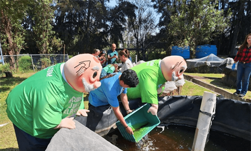 UGA prelibera mil ajolotes mexicanos; planean llevarlos a Xochimilco