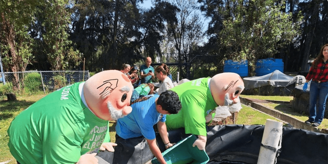 Preliberan mil ajolotes nacidos en la Unidad de Genómica Avanzada del...