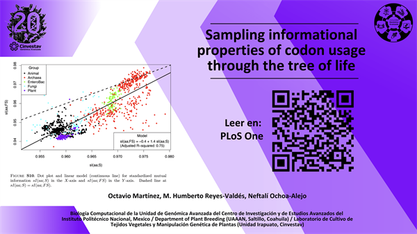 Sampling informational properties of codon usage through the tree of life