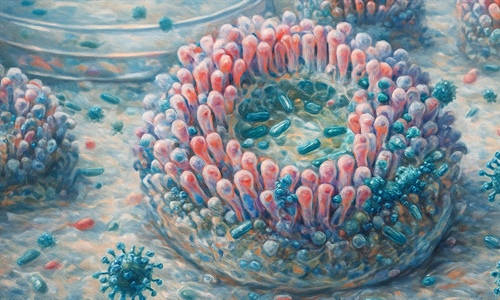 Organoides intestinales para el estudio de infecciones