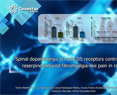 Vinicio Granados Soto - Spinal dopaminergic D1 and D5 receptors contribute to reserpine-induced fibromyalgia-like pain in rats.