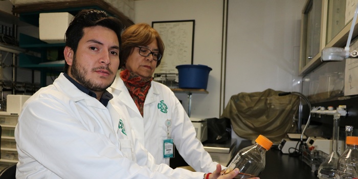 El consumo excesivo de azúcares en la niñez y sus consecuencias en...