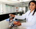 Emplean cempasúchil para proponer tratamientos contra cáncer de colon
