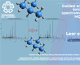 Guided analysis of ambient ionization mass spectrometry data with the MQ_Assistant