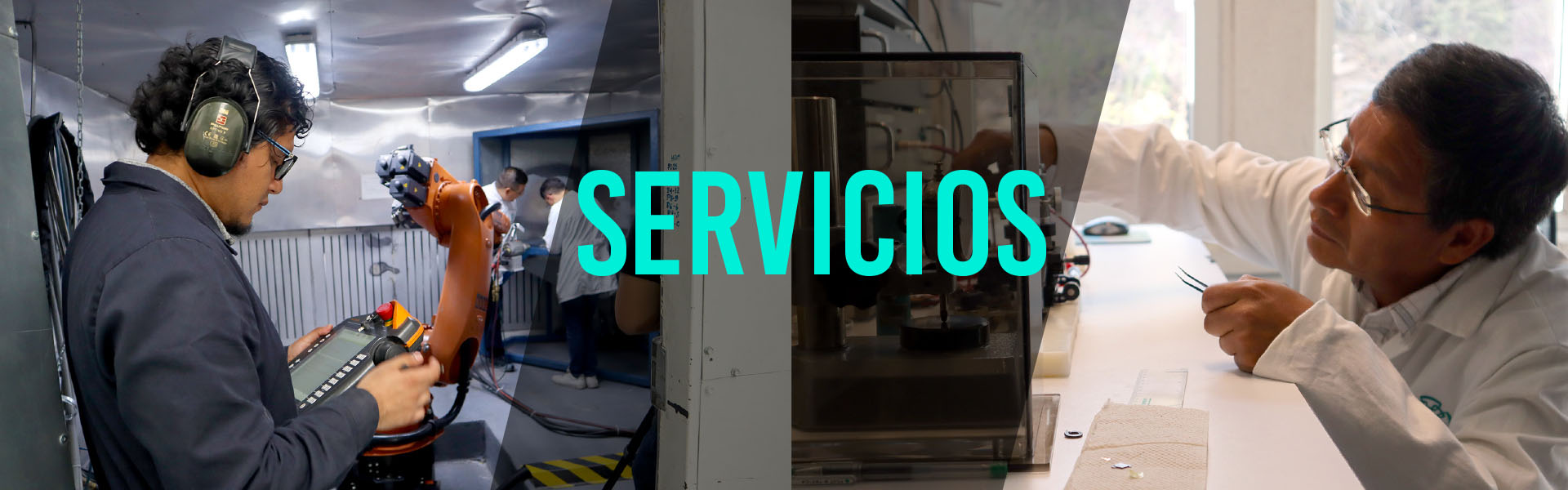 Nuestros Servicios