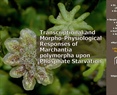 Transcriptional and Morpho-Physiological Responses of Marchantia polymorpha upon Phosphate Starvation