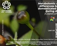 Metabolomic analysis identifies differences between wild and domesticated chili pepper fruits during development (Capsicum annuum L.)