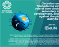 Circadian oscillations in Trichoderma atroviride and the role of core clock components in secondary metabolism, development, and mycoparasitism against the phytopathogen Botrytis cinerea