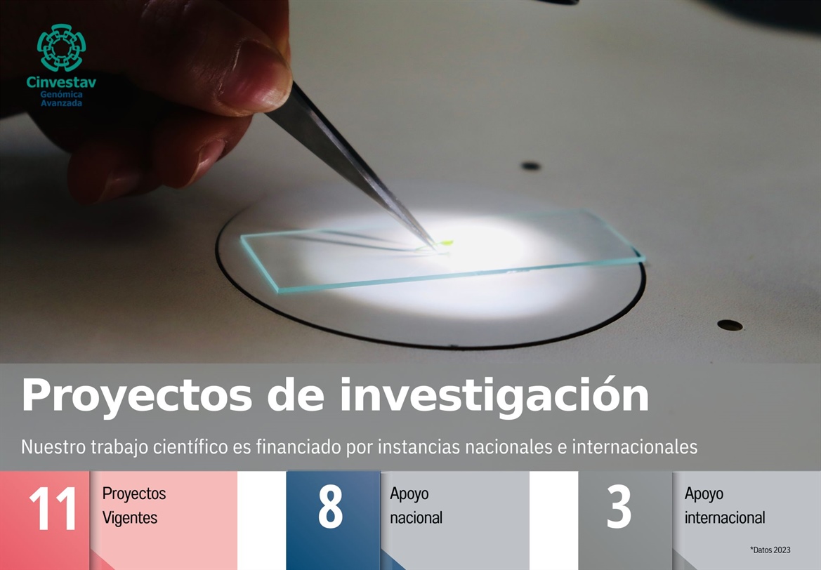 Indicadores-Proyectos de Investigación - UGA