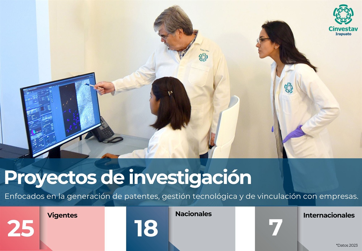 Proyectos de Investigación