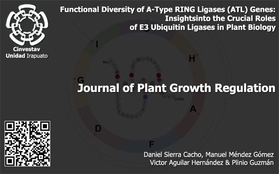 Functional Diversity of A-Type RING Ligases (ATL) Genes: Insights into the Crucial Roles of E3 Ubiquitin Ligases in Plant Biology