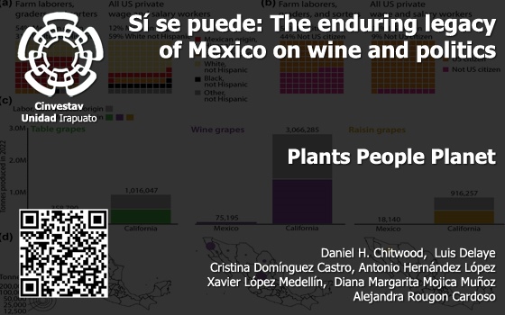 Sí se puede: The enduring legacy of Mexico on wine and politics